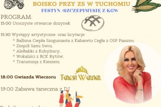 Zdjęcie do: Dożynki Wiejskie w Tuchomiu.