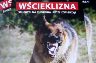 Zdjęcie do: Trwa akcja szczepienia psów przeciwko wściekliźnie,