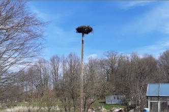 Zdjęcie do: Nowa konstrukcja pod gniazdo dla bociana
