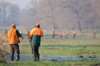 Zdjęcie do: Terminy polowań zbiorowych