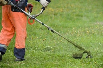 Zdjęcie do:  Koszenie terenów zielonych