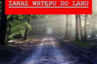 Zdjęcie do: Zakaz wstępu do lasu