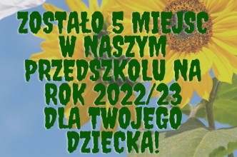 Zdjęcie do: Zostało 5 miejsc w Słonecznikowym przedszkolu w Modrzejewie