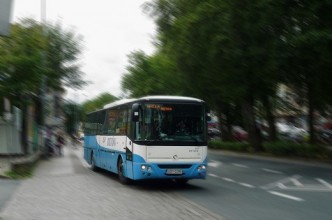 Zdjęcie do: Projekt Planu zrównoważonego rozwoju publicznego transportu zbiorowego w Gminie Tuchomie