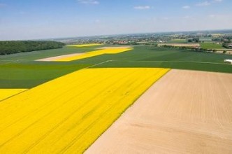 Zdjęcie do: Dopłaty 2021 - wnioski tylko przez internet