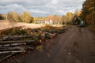 Zdjęcie do: Wycinka drzew przy drogach gminnych.